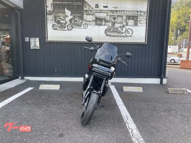 HARLEY-DAVIDSON 1250ST 2025 — миниатюра 4