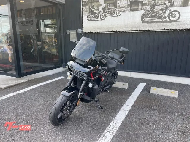 HARLEY-DAVIDSON 1250ST 2025 — миниатюра 5