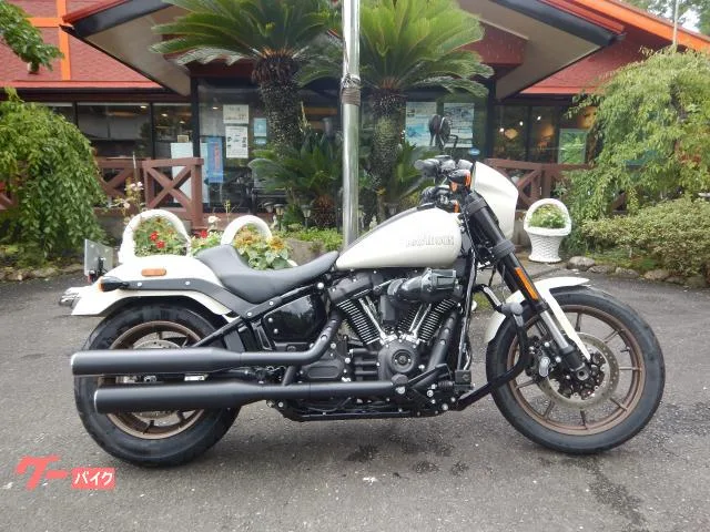 HARLEY-DAVIDSON FXLRS S 2023 — фото 1, купить с доставкой в Москву