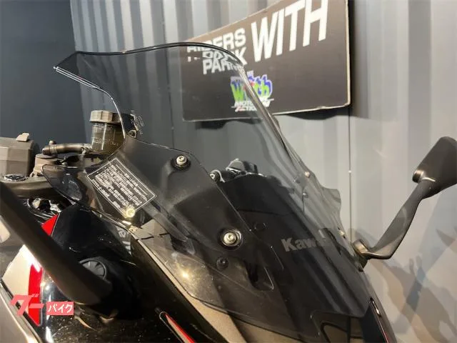 Kawasaki Ninja 1000 SX ETC 2024 — миниатюра 3