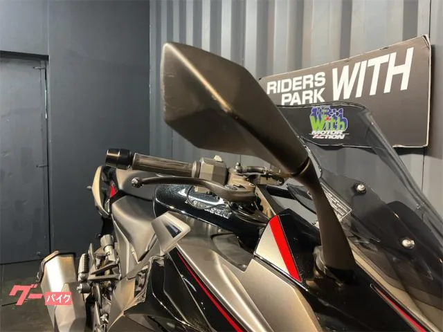 Kawasaki Ninja 1000 SX ETC 2024 — миниатюра 4