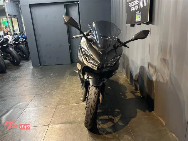 Kawasaki Ninja 250 ETC2.0 2022 — миниатюра 2