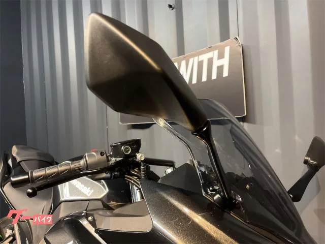 Kawasaki Ninja 250 ETC2.0 2022 — миниатюра 4