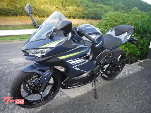 Kawasaki Ninja 400 2022 ETC USB 2022 — миниатюра 2