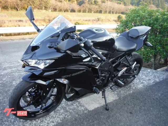 Kawasaki Ninja ZX-25R 2022 2022 — миниатюра 2