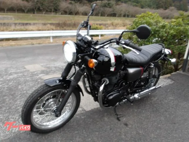 Kawasaki W800 2022 2022 — миниатюра 2