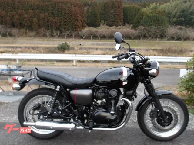 Kawasaki W800 2022 2022 — фото 1, купить с доставкой в Москву