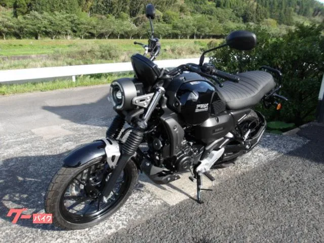 Yamaha FZ-X 2025 2025 — миниатюра 2