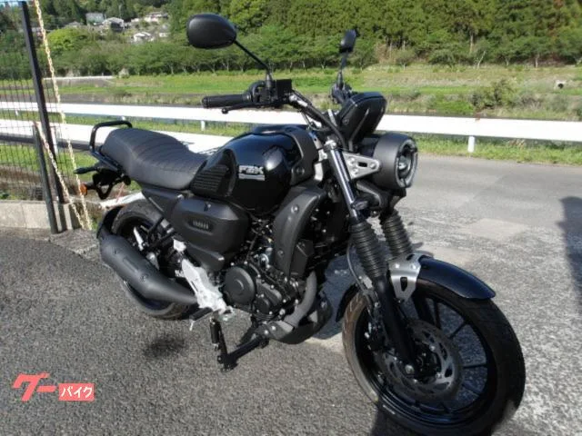Yamaha FZ-X 2025 2025 — миниатюра 3
