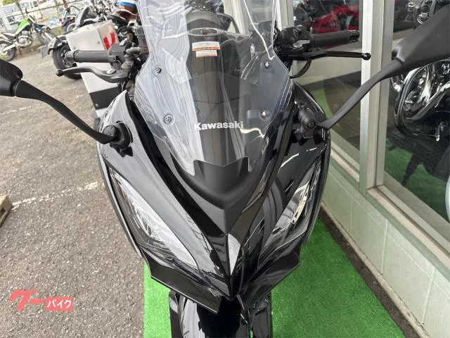 Kawasaki Ninja 1100 SX ETC 2025 — миниатюра 3