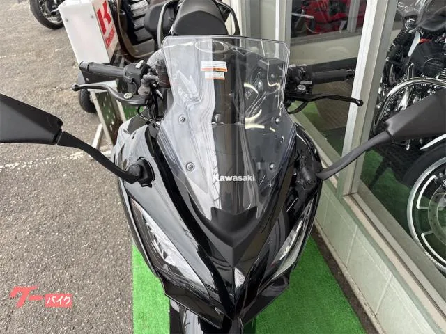 Kawasaki Ninja 1100 SX ETC 2025 — миниатюра 4