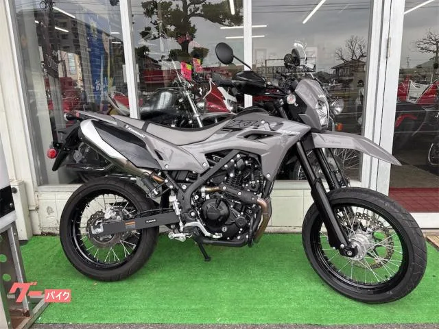 Kawasaki KLX230SM 1 2025 — фото 1, купить с доставкой в Москву