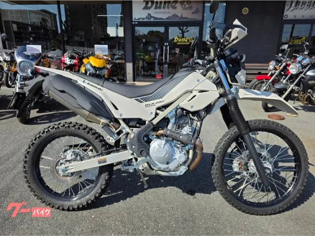 Kawasaki KLX230 2025 — фото 1, купить с доставкой в Москву