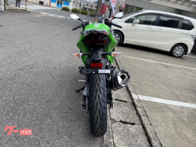 Kawasaki Ninja 250 KRT 2023 — миниатюра 4