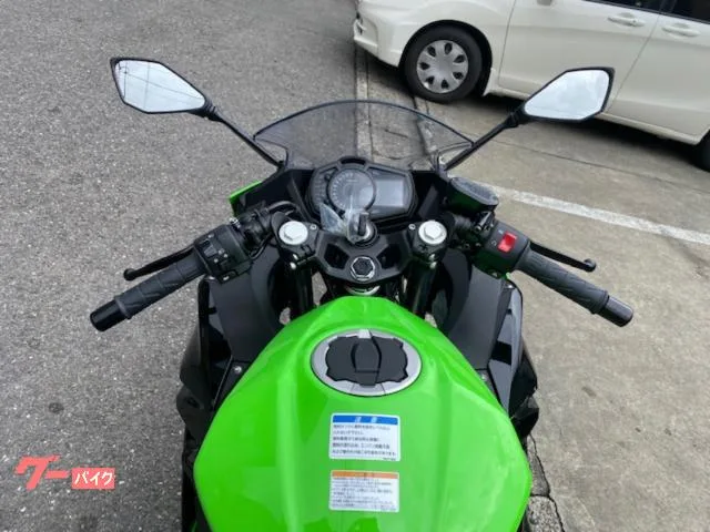 Kawasaki Ninja 250 KRT 2023 — миниатюра 5