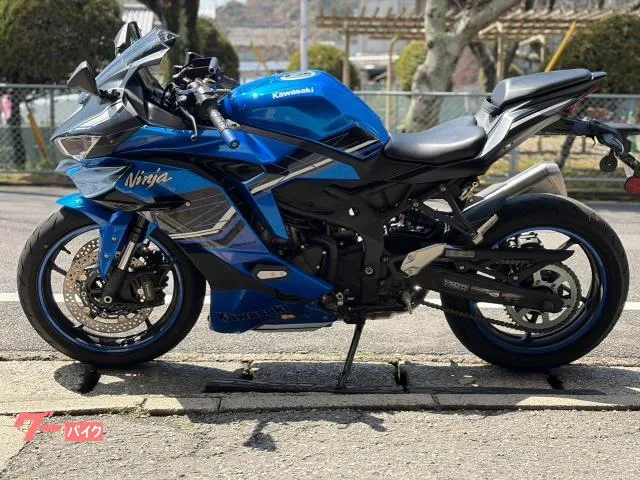 Kawasaki Ninja ZX-4R SE 2024 — миниатюра 2