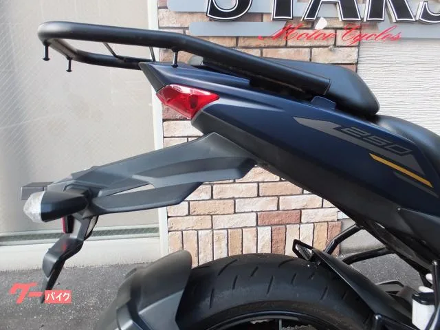 Suzuki GIXXER 250 ETC 2023 — миниатюра 4