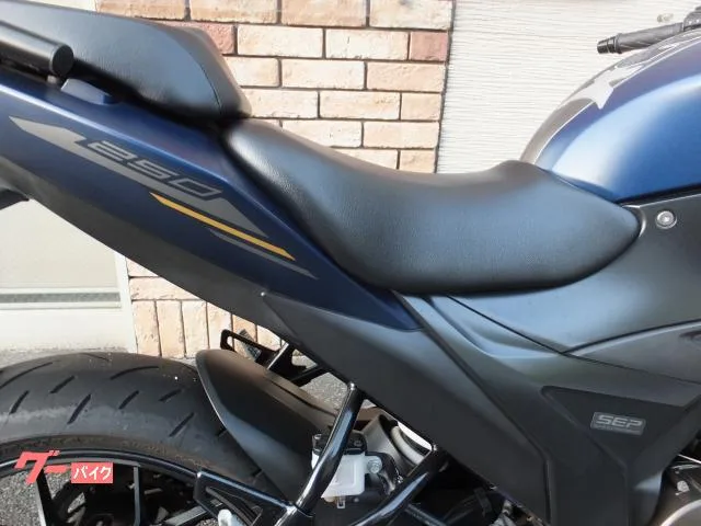 Suzuki GIXXER 250 ETC 2023 — миниатюра 5