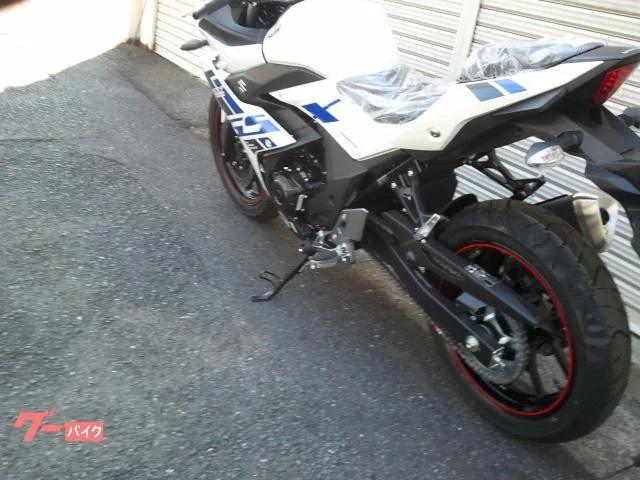 Suzuki GSX250R ABS 2022 — миниатюра 2