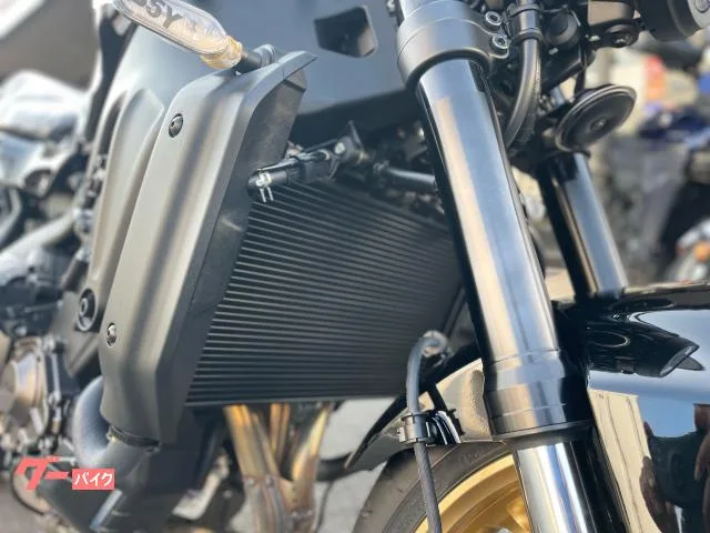 Yamaha XSR900 2025 2025 — миниатюра 3