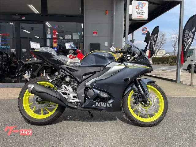 Yamaha YZF-R15 YSP3 2024 — миниатюра 3