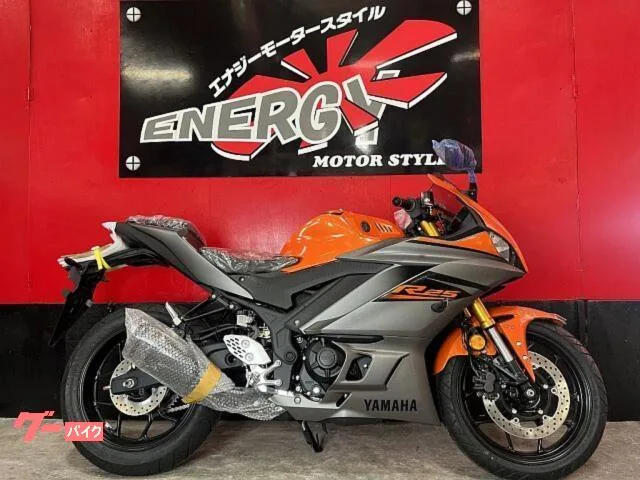 Yamaha YZF-R25 ABS RG74 2022 — миниатюра 3
