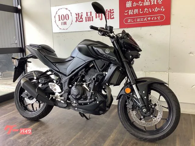 Yamaha MT-25 2022 — миниатюра 4