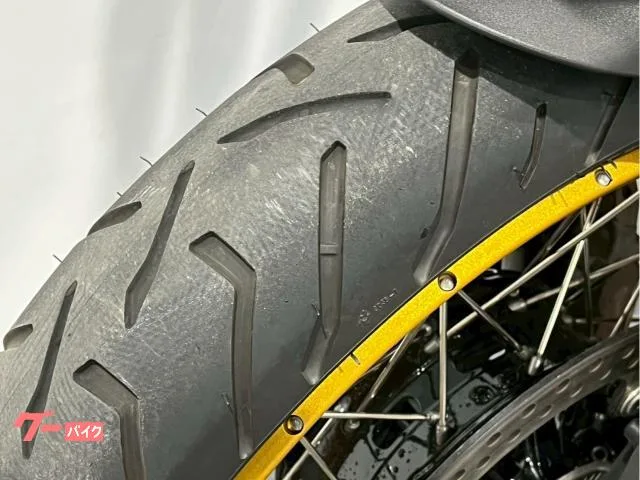BMW R1300GS ETC BMW 2024 — миниатюра 5