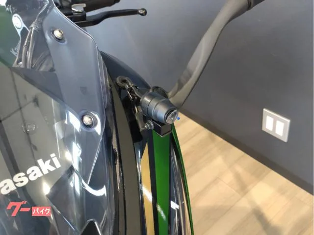 Kawasaki Ninja 1100 SX SE 2025 — миниатюра 2