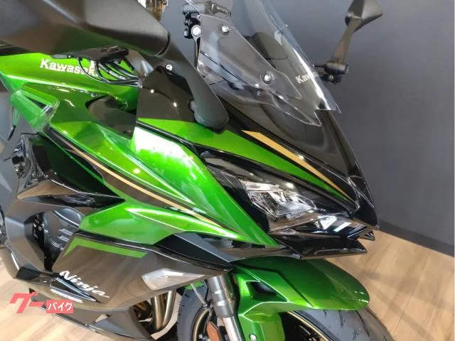 Kawasaki Ninja 1100 SX SE 2025 — миниатюра 3