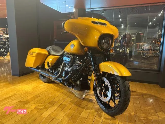 HARLEY-DAVIDSON FLHXS 2023 — фото 1, купить с доставкой в Москву