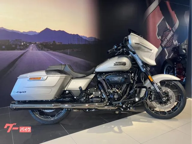 HARLEY-DAVIDSON CVO FLHXSE 2023 — фото 1, купить с доставкой в Москву