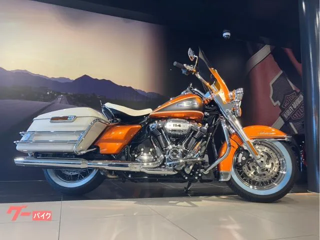 HARLEY-DAVIDSON FLHFB 2023 — фото 1, купить с доставкой в Москву