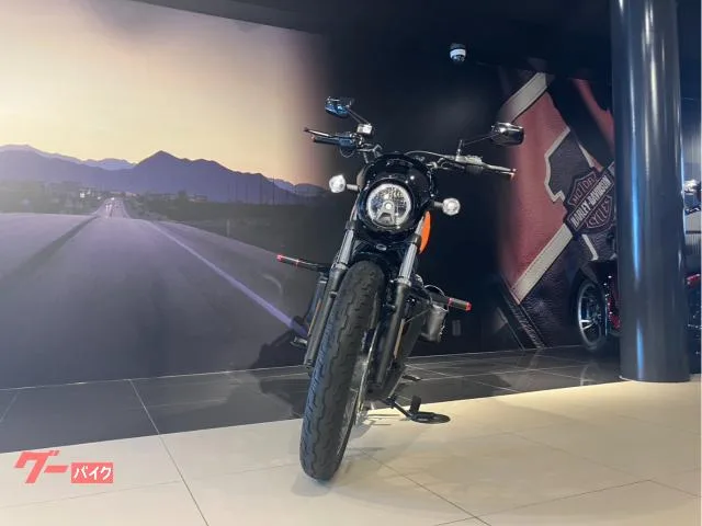 HARLEY-DAVIDSON RH975S 2024 — миниатюра 3