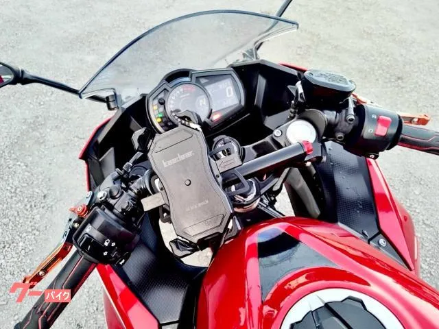 Kawasaki Ninja 250 2022 — миниатюра 2