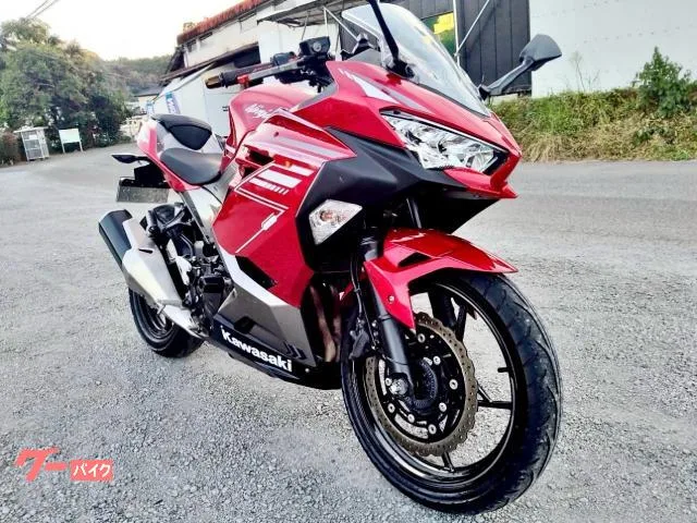 Kawasaki Ninja 250 2022 — миниатюра 3