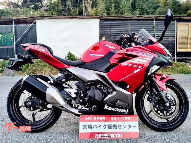Kawasaki Ninja 250 2022 — фото 1, купить с доставкой в Москву
