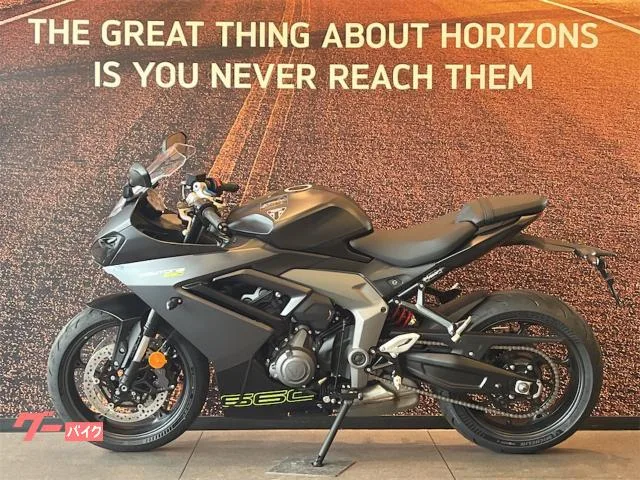 TRIUMPH 660 2024 — миниатюра 3