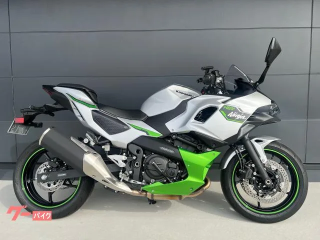 Kawasaki Ninja 7 Hybrid 2025 — фото 1, купить с доставкой в Москву