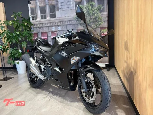Kawasaki Ninja 500 2026 — миниатюра 3