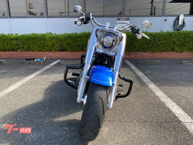 HARLEY-DAVIDSON FLFB 117 2025 — миниатюра 2