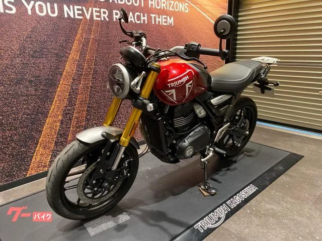 TRIUMPH 400 2024 — миниатюра 2