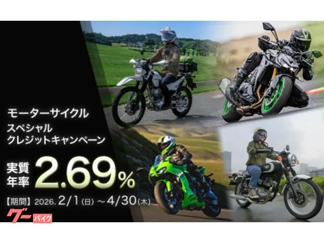 Kawasaki W230 ABS 2025 — миниатюра 4