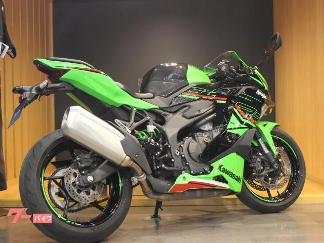 Kawasaki Ninja ZX-4RR 2024 — миниатюра 4