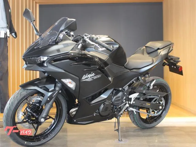 Kawasaki Ninja 500 2026 — миниатюра 5