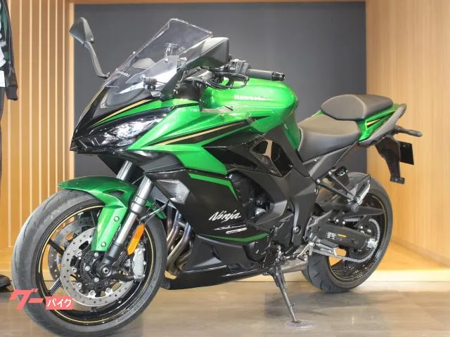 Kawasaki Ninja 1100 SX SE 2025 — миниатюра 2