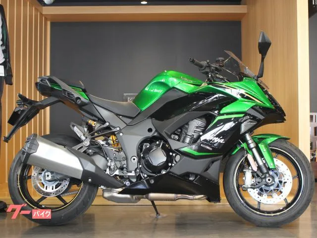 Kawasaki Ninja 1100 SX SE 2025 — миниатюра 3