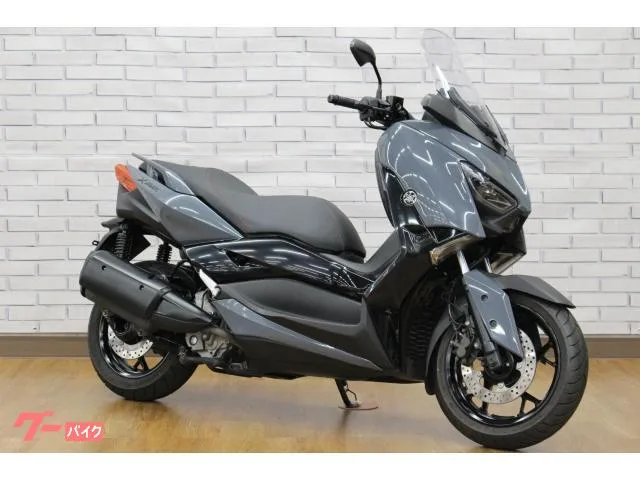 Yamaha X-MAX250 / 2022 — фото 1, купить с доставкой в Москву