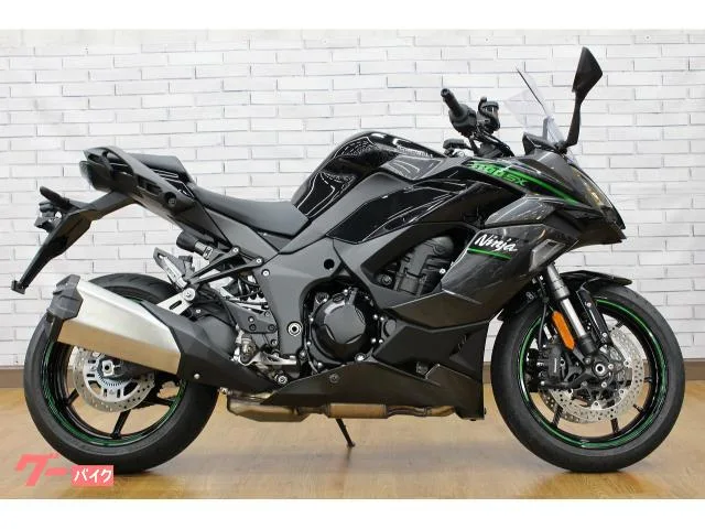 Kawasaki Ninja 1100 SX/ETC2.0///USBC 2025 — миниатюра 3
