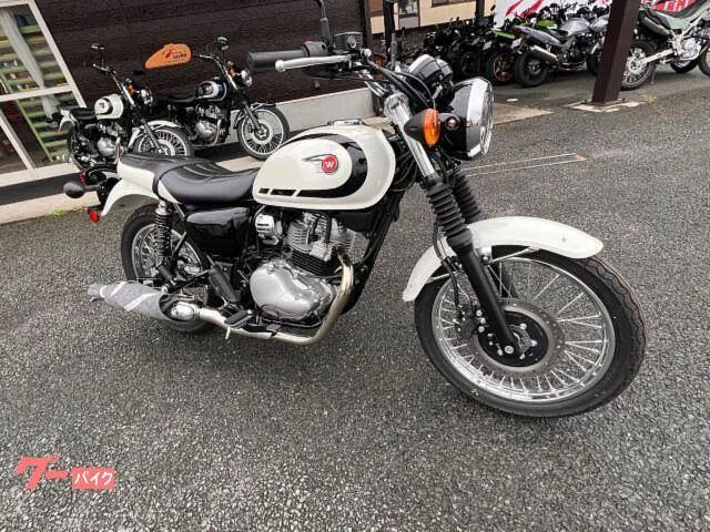 Kawasaki W230 W230 2025 — фото 1, купить с доставкой в Москву